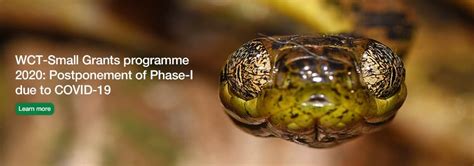 Home - Wildlife Conservation Trust