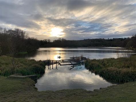Holmebrook Valley Park (Chesterfield) - 2021 What to Know Before You Go ...