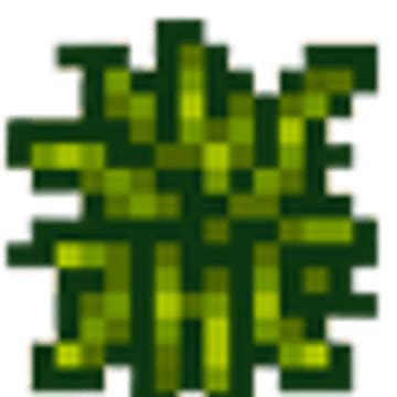 How to Use the Stardew Valley Fiber? - Stardew | Guide