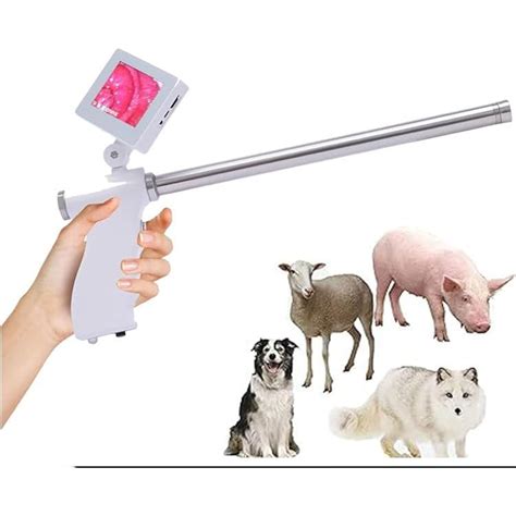 Lwjunmm Insemination Kits for Cows Cattle,Visual India | Ubuy