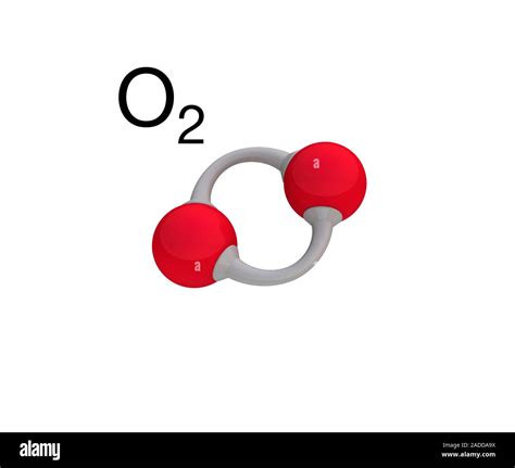 Image result for O2 Molecule Structure