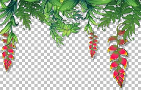 Diverse tropische bladeren op transparante achtergrond | Gratis Vector
