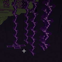 Image result for Minecraft End Phantasm Mod