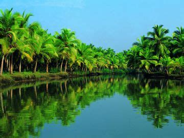 Experience Cochin - Munnar - Thekkady - Alleppey - Kovalam ...