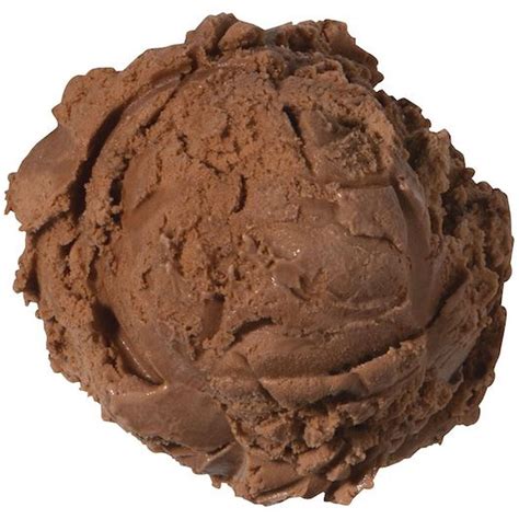 Blue Bunny Premium Chocolate Ice Cream, 3 Gallon Tub | Ubuy India