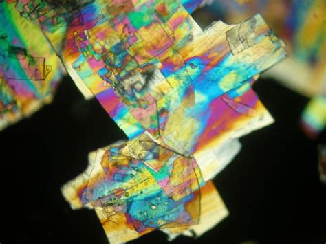 Image result for Quark Under Microscope