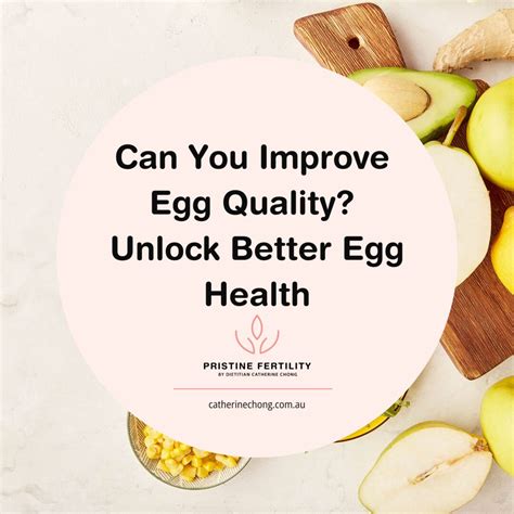 Can You Improve Egg Quality? Unlock Better Egg Health - Pristine Fertility