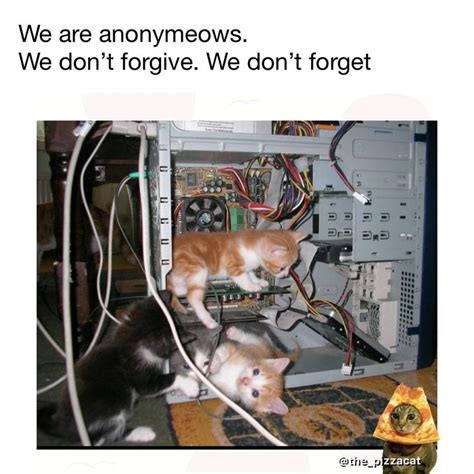 Image result for Perth Computer Store Advert Meme