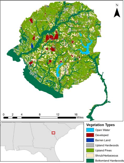 Image result for Vegetative Area. Examples
