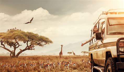 Adventure Travel Destinations 的图像结果