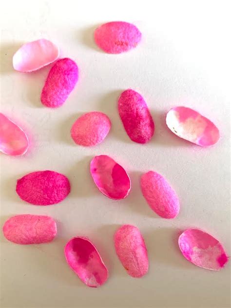 D'source Making Process | Silk Cocoon Handicrafts | D'Source Digital ...