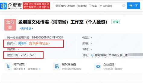 海南又一公司起名为“孟羽童传媒工作室”_腾讯新闻