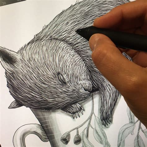 Image result for scratchboard