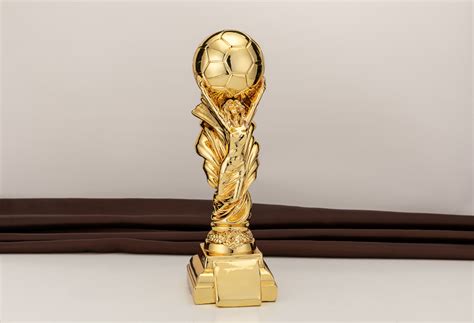 足球奖杯 的图像结果
