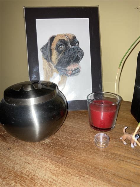 Does that mean she is happy? : r/budgies