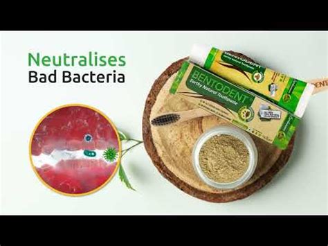 Bentodent Cardamom Toothpaste - Natural & Fluoride Free - 100 gm ...