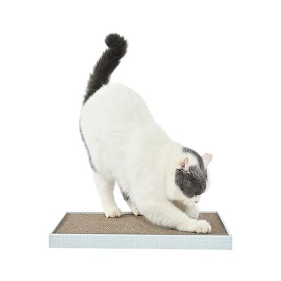 10-Inch-Wide Cat Trees & Scratchers at Lowes.com