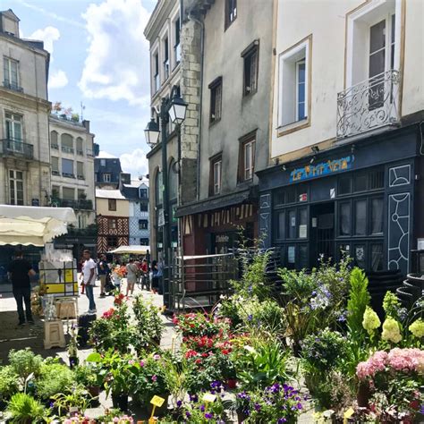 Anne of Brittany: Duchess, Queen and icon (1477-1514)