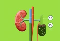 Kidney and Urinary Bladder - 1 Chapter Notes - Pathology - NEET PG PDF ...