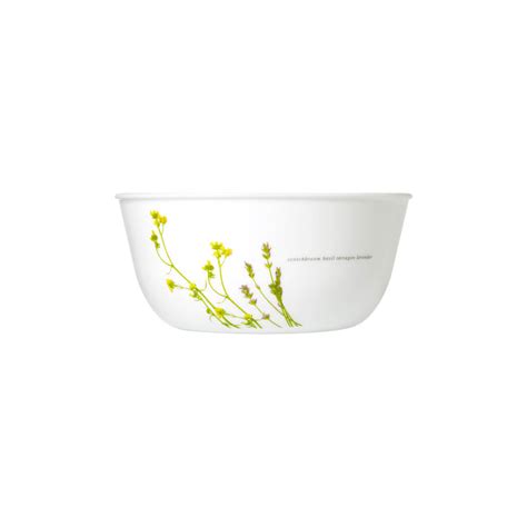 Corelle Asia Collection European Herbs 828ml Curry Bowl Pack of 2 ...