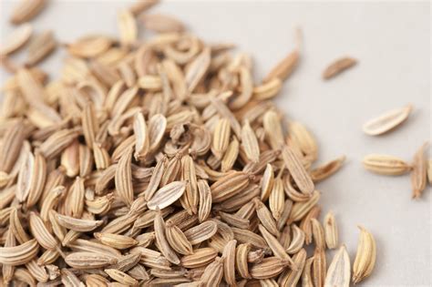 Caraway Seeds In Hindi