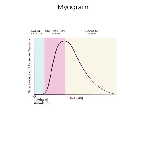 Image result for Myogram Labeled