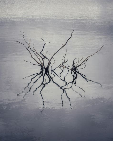 Minimalistic Background 的图像结果