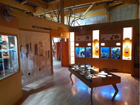 ZooLex Image - Fourth zone : Noé's cabin