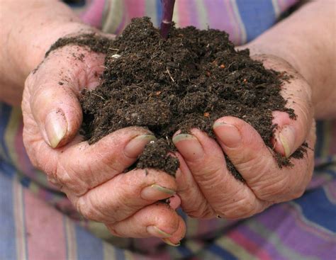EU-Kommission will Carbon Farming zum Geschäftsmodell machen ...