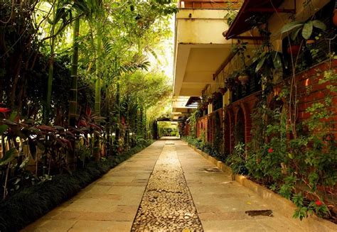 The Green Path in Bangalore Urban | 2025 Updated prices, deals - Klook ...