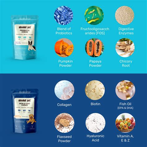 Probiotic & Gut Chews | #1 Probiotics for Dogs – Absolut Pet India