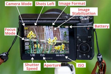 Compact Camera 的图像结果