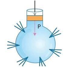 Pascal's Law, Buoyancy and Archimedes Principle (Old Syllabus) - Science