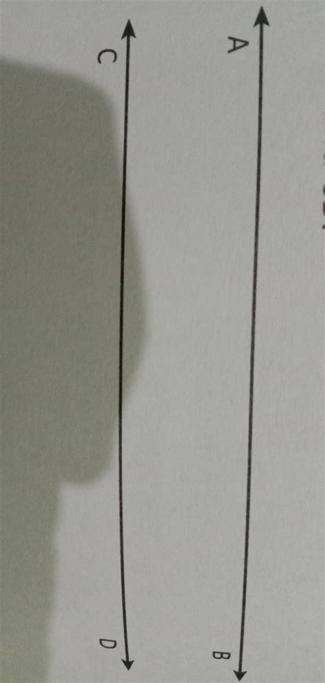 Given below are two parallel lines AB and CD. Draw a line m such that m ...