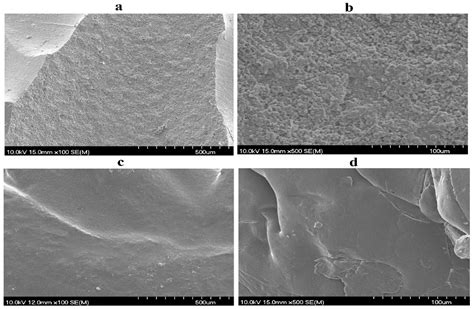 Investigation of Chlorhexidine and Chitosan Gel-Based Coatings for the ...