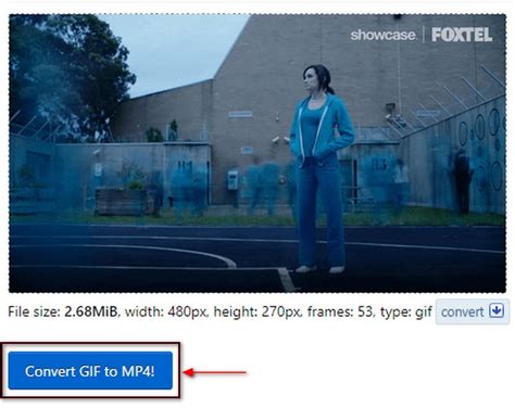 Image result for MP4 to GIF Tutorial