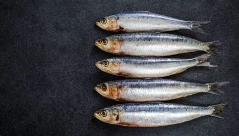 10 health benefits of sardines (tarli/matti) | TheHealthSite.com
