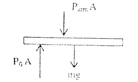 An ideal gas enclosed in a cylindrical container supports a freely ...