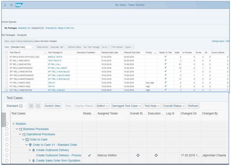 Solution Manager Test Suite 的图像结果