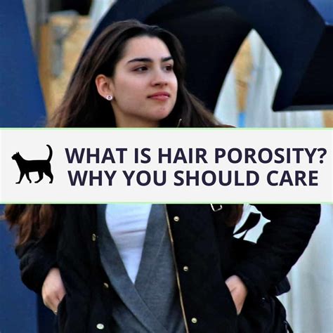What is hair porosity and why should you care?