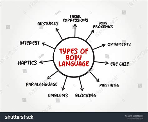 Image result for Language Types