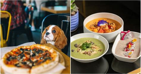 The Pet People Cafe, Bengaluru | WhatsHot Bangalore