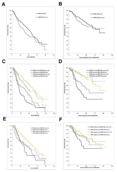 ARPC1B Is Associated with Lethal Prostate Cancer and Its Inhibition ...