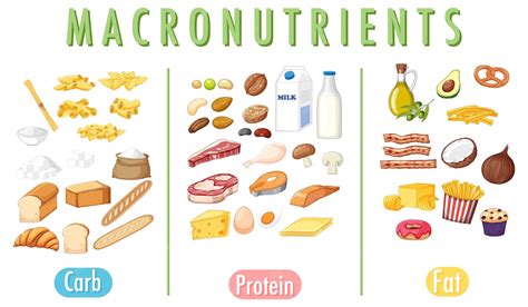 Image result for Macronutrients Basic Structure