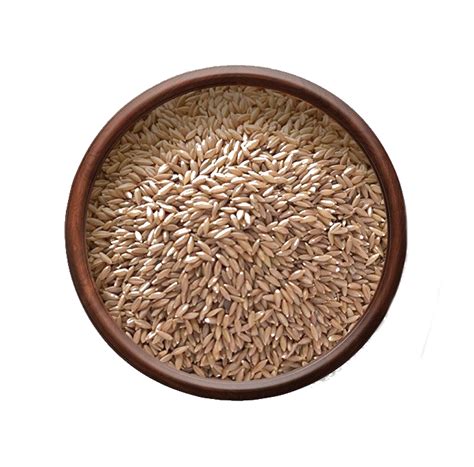 Product categories New Arrivals | SPIISRY