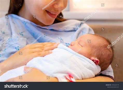 Image result for Input Type Options HTML