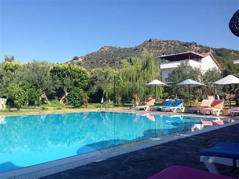 ASSOS OLEAS HOTEL - Hotel Reviews & Photos - Tripadvisor