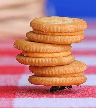 Image result for QuickBasic Tutorials