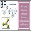 vsepr structure of BF3 - Brainly.in