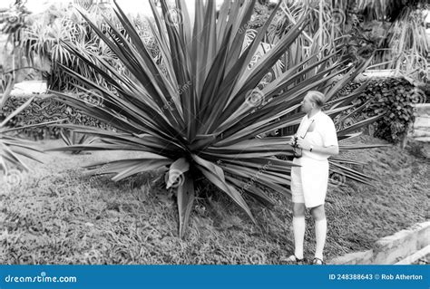 A Man Standing Next To a Large Aloe Vera Plant in the Aburi Gardens in ...